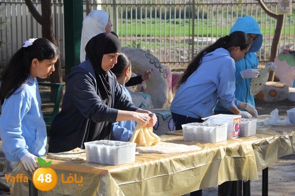 rashidiya 0212 (4).JPG